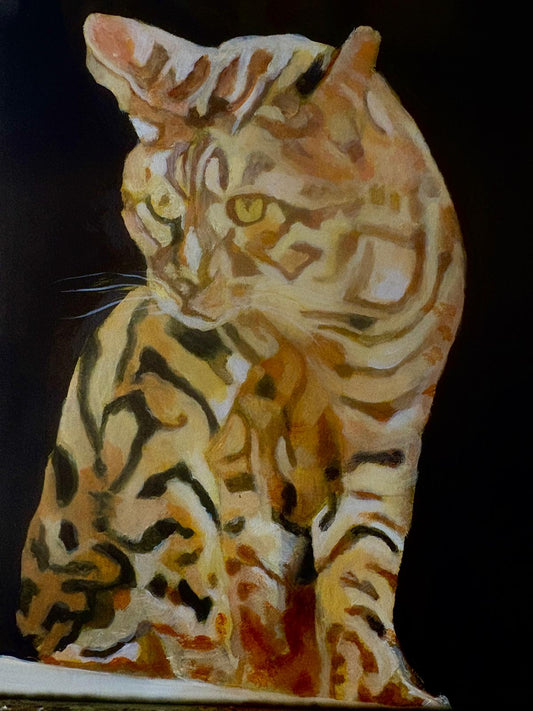 Top Cat..Original Oil