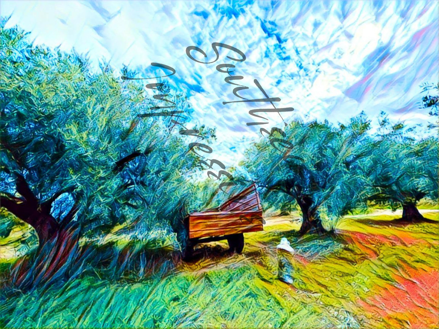 Olive Harvesting
