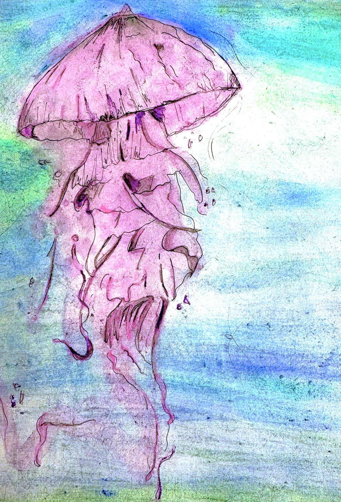JellyFish