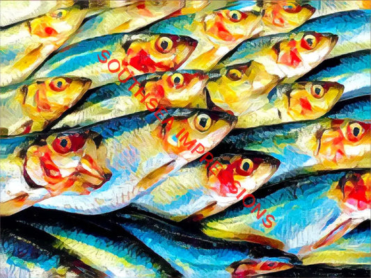 Sardines A4 Image and white mount